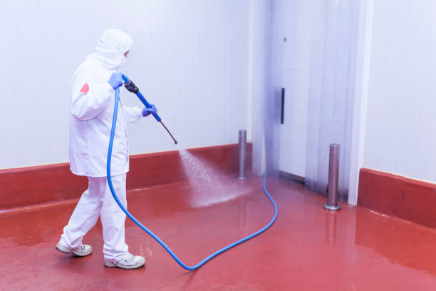 Boat and Dock Cleaning in North Webster, IN